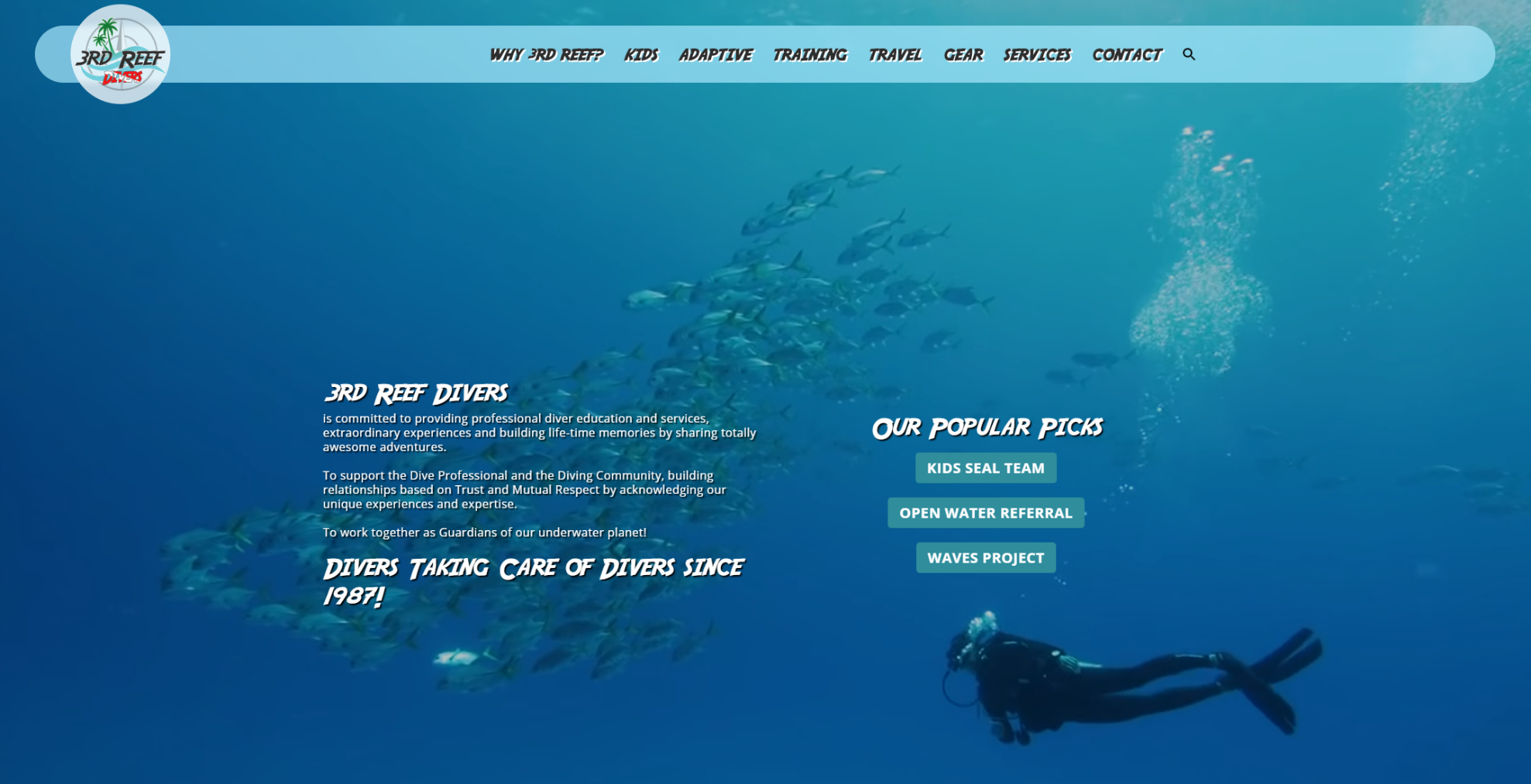 Las vegas website development by 702 pros llc for 3rd reef divers | justin young