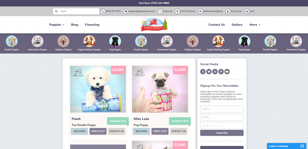 Puppy heaven front page