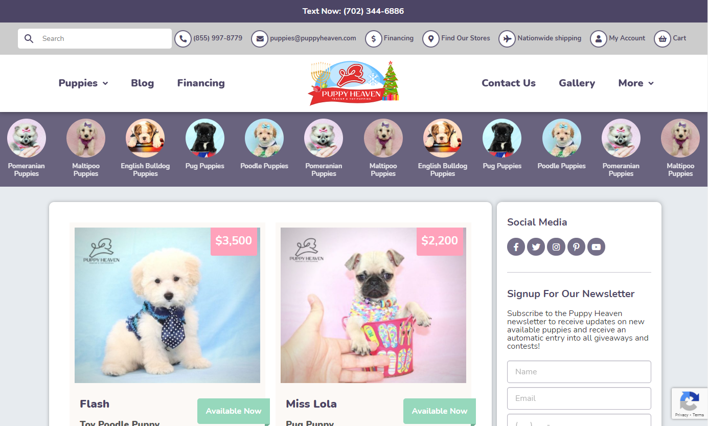 puppy-heaven-front-page-design