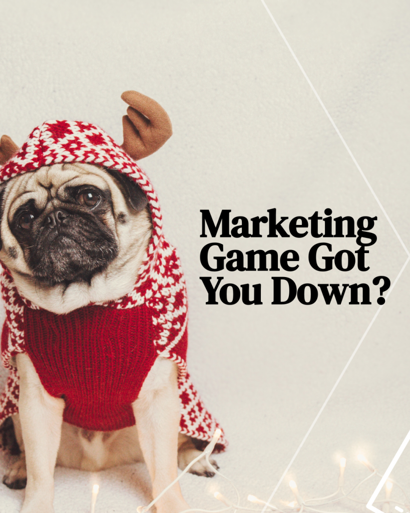 Marketing Game Got you Down - Funny Instagram Post of a Dog with Reindeer hat and sweater - Graphic Design by 702 Pros