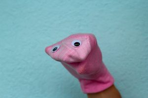 Funny Sock Puppet Photo | Website Redesign 2021