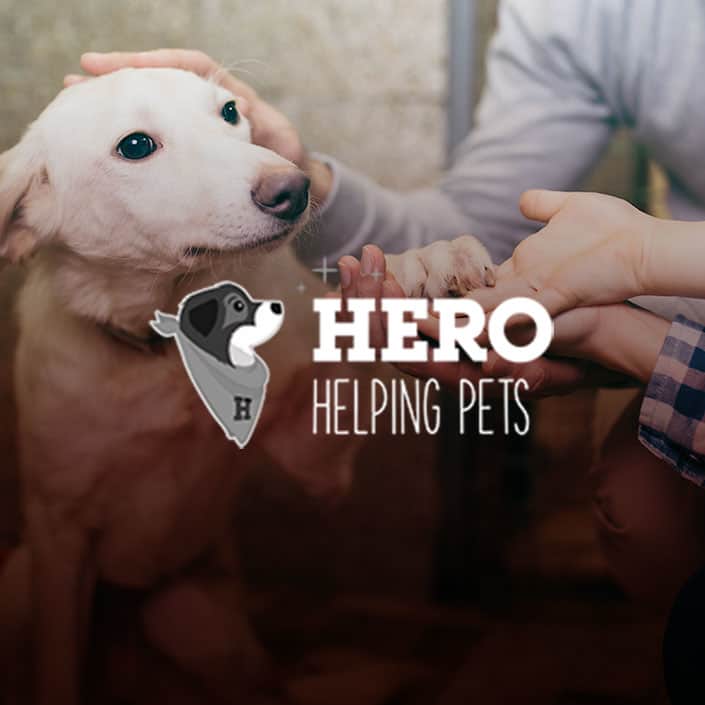 Hero helping pets digital marketing case study by 702 pros | digital marketing las vegas