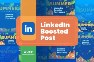 Improve Post Performance with a LinkedIn Boosted Post by 702 Pros