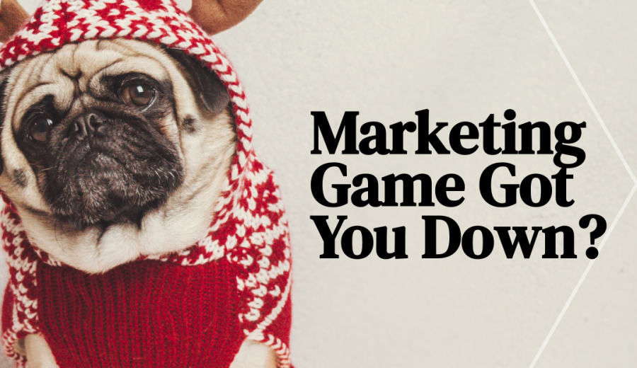 Marketing Game Got you Down - Funny Instagram Post of a Dog with Reindeer hat and sweater - Graphic Design by 702 Pros