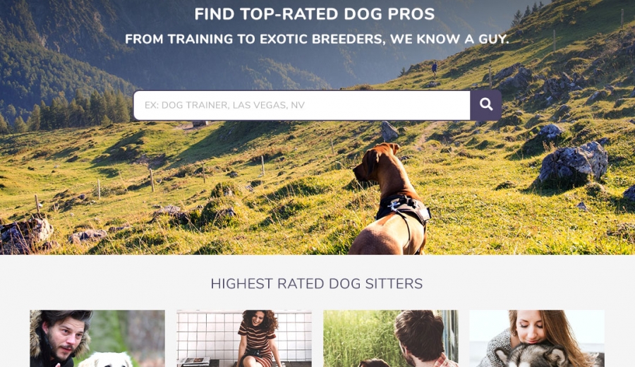 homepage of a website mockup created for puppy heaven by 702 pros digital marketing