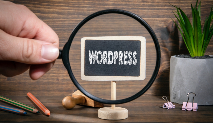 Creating Quality SEO-Based Content in WordPress