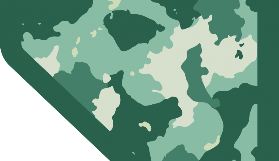 Camouflage Nevada Symbol | Green Nevada Graphic Design by 702 Pros
