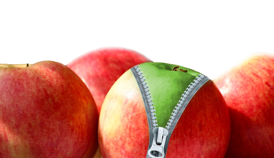 How to Detect and Remove Duplicate Content on Your Website